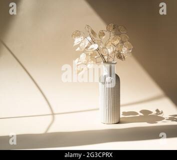 Bouquet von getrockneten Lunaria in Keramikvase auf beigem Studiohintergrund Stockfoto