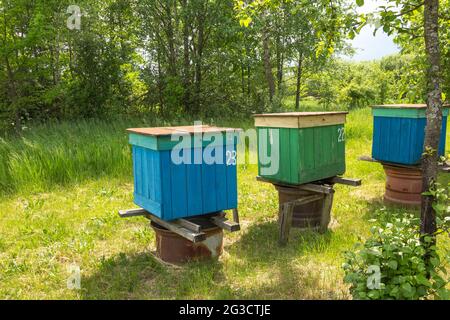 Drei bunte Bienenstöcke im Garten an einem sommerlichen sonnigen Tag Stockfoto