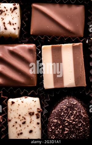 Schweizer Pralinen in Geschenkbox, verschiedene Luxus-Pralinen aus dunkler und milcher Bio-Schokolade in der Schweizer Chocolaterie, süße Dessertspeisen wie Stockfoto