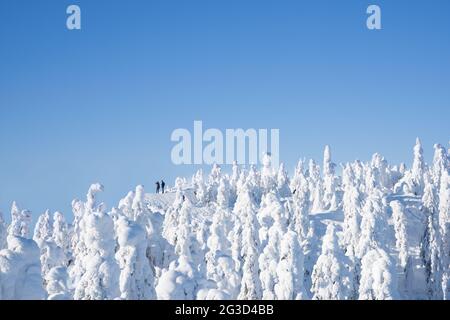 Eine Gruppe von Wanderern, die eine wunderschöne Winterlandschaft im Koli Nationalpark genießen Stockfoto