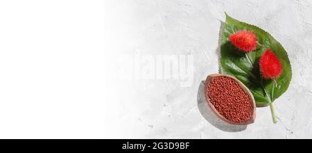 Annatto Samen, Ono, Annatto, Bixa orellana, natürliches rotes Pigment Stockfoto