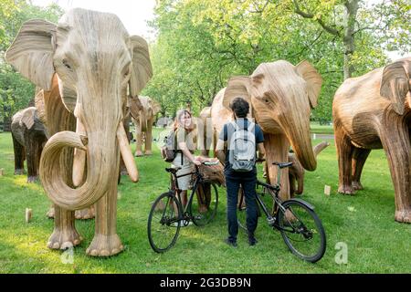 London, Großbritannien. Juni 2021. Couple looking at Elephant Sculptures errichteten in Green Park, London.Coexistence ist eine von Elephant Family und The Real Elephant initiierte Kunstinstallation, die aus 100 Elefantenbildhauern von indigenen Völkern besteht. Vom 14. Juni 2021 bis zum 23. Juli 2021 wird die Herde an verschiedenen Standorten im Zentrum Londons, nämlich Green Park, St. James' Park und Berkeley Square, ausgestellt. Die Bewegung will Gelder für die Elefantenfamilie sammeln, um Wildtiere vor menschlicher Zerstörung zu schützen. Kredit: SOPA Images Limited/Alamy Live Nachrichten Stockfoto