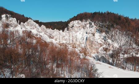 Wawoz Bolechowicki im Tal von Bolechowice. Kalksteinfelsen im Tal von Krakau. Immergrüne Bäume im Vordergrund. Schneebedeckte hügelige Landschaft. Schöner, klarer blauer Himmel im Hintergrund. Stockfoto