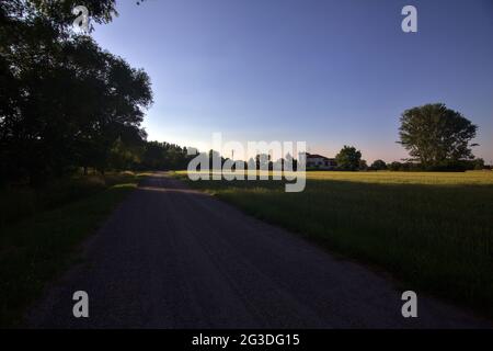 Country road in the shade next to a wheat field Stockfoto