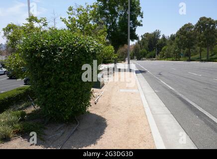 Valencia, Kalifornien, USA 15. Juni 2021 EINE allgemeine Sicht auf die Atmosphäre von Paul Walkers tödlichem Autoabsturz an der 28385 Constellation Road, wo Roger Rodas am 30. November 2013 mit Paul Walker fuhr und sie hier in Valencia, Kalifornien, USA, abgestürzt sind. Foto von Barry King/Alamy Stockfoto Stockfoto