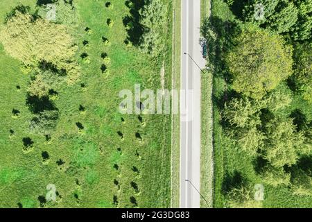 Leere Fahrradspur durch grünen Rasen im öffentlichen Park unter Bäumen. Luftaufnahmen mit Drohne Stockfoto