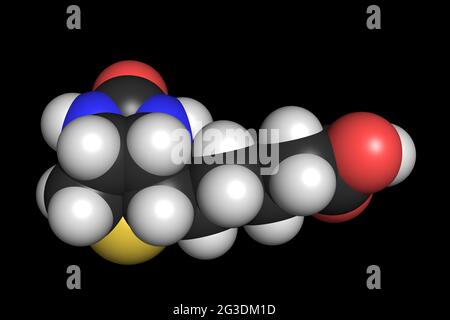 Vitamin B7 Biotin Molekül 3D rendern chemische Struktur Stockfoto