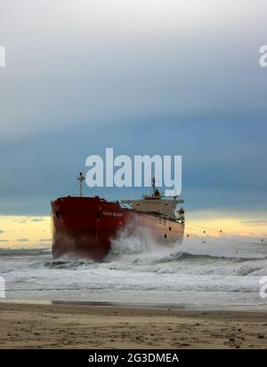 NEWCASTLE, NSW, AUSTRALIEN-9. JUNI 2007: Das Bulkcarrier-Schiff Pasha Bulker, das während eines Sturms auf Nobby's Beach, Newcastle, auf Grund lief. Stockfoto