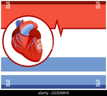 Menschliches Herz. Kardiologische Medizin. Hintergrunddarstellung. Medikamente und Dienstleistungen eines Kardiologen. Banner. Pharmazeutika. Krankenwagen. Flach Stock Vektor