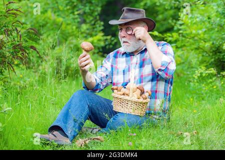 Großvater mit Korb von Pilzen und einem überraschenden Gesichtsausdruck. Stockfoto