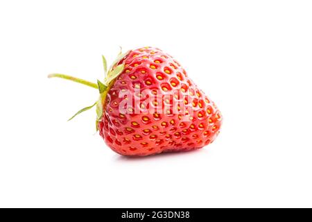 Ganze reife rote Erdbeere isoliert auf weißem Hintergrund. Stockfoto