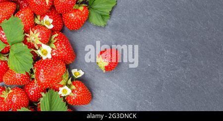 Erdbeeren Beeren Früchte Erdbeere Früchte Copyspace kopieren Platz auf einem Schiefer Panoramablick Lebensmittel Stockfoto