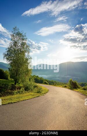 Ländliche Straße den Hügel hinunter. Schöner Reisehintergrund. Sonniges Morgenwetter in den Bergen. Bäume entlang des Pfades Stockfoto