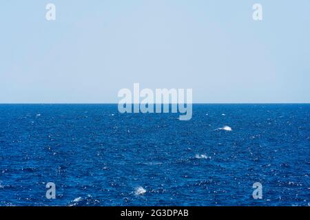 Meereslandschaft mit Meer und fast klaren tiefblauen Himmel - Hintergrund Stockfoto