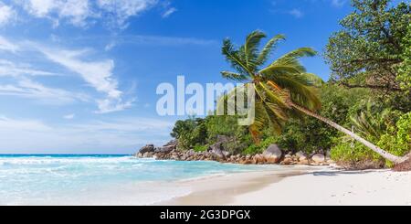 Seychellen Anse Georgette Strand auf Praslin Insel Palmenpanorama Panoramablick Urlaub Meertourismus Stockfoto