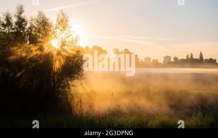 Laatzen, Deutschland. Juni 2021. Die aufgehende Sonne taucht Nebel in der Leinemetze in der Region Hannover in warmes Licht. Der Deutsche Wetterdienst DWD prognostiziert für die nächsten Tage eine Hitzewelle mit Temperaturen bis zu 37 Grad. Quelle: Julian Stratenschulte/dpa/Alamy Live News Stockfoto