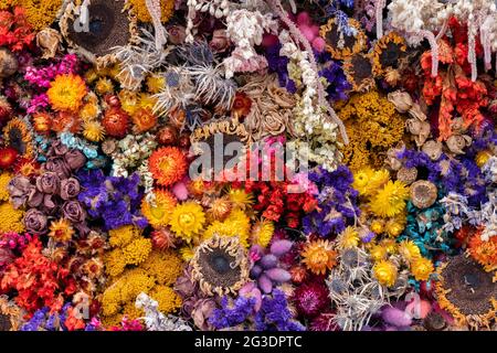 Ausstellung getrockneter Blumen in einem Klavier in den Gärten von RHS Wisley. Surrey, England Stockfoto