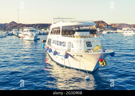 Viele weiße Yachten im Hafen vor dem Hintergrund hoher Berge und Felsen. Stockfoto