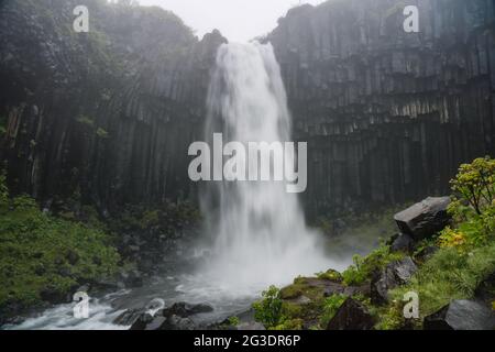 Svartifoss Wasserfall bei launigem, nebligen, nebligen Wetter. Beliebte Touristenattraktion Szene. Lage Skaftafell-Nationalpark, Vatnajokull-Gletscher, Island Stockfoto