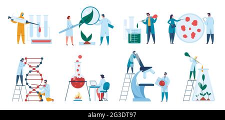 Wissenschaftler, die im Labor arbeiten. Forscher, Biologen, die wissenschaftliche Experimente durchführen. DNA-Forschung, Konzept-Vektor-Set für pharmazeutische Chemie. Pflanze mit Lupe untersuchen, Flüssigkeit analysieren Stock Vektor