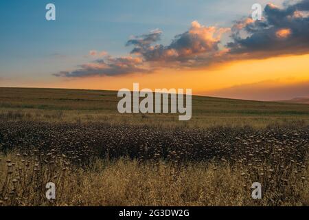 Farbenprächtiger Sonnenuntergang über dem Farmfeld Stockfoto