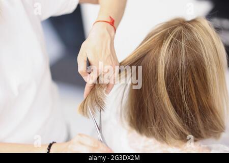 Der Friseur schneidet die Haarspitzen eines Kunden im Schönheitssalon Stockfoto