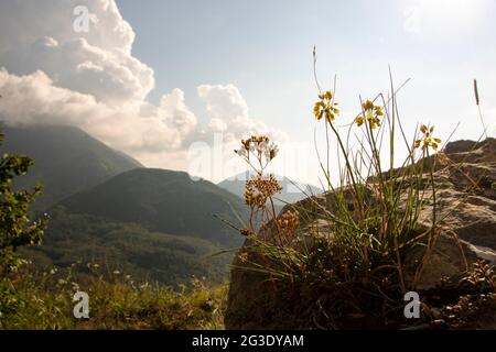 In San Severino Lucano - Italien - am 2020. august - Landschaft von Pollino Nationalpark, ein weites Naturschutzgebiet in Basilicata und Kalabrien, italienische Re Stockfoto