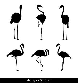 Schwarze Flamingo-Silhouetten, isoliert auf weißer Vektorgrafik Stock Vektor