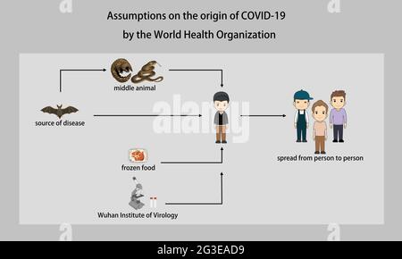 Annahmen über die Herkunft von COVID-19. Hypothese der WHO. Konzept über den Ursprung des neuen Virusstamms im Labor. Stockfoto