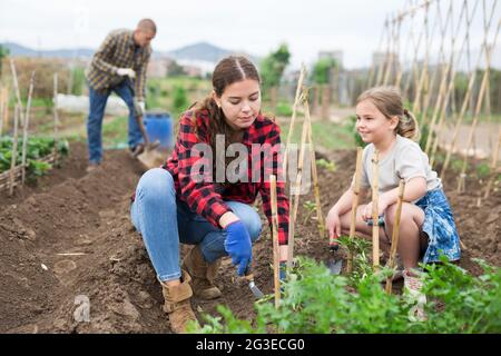 Mutter und Tochter im Garten arbeiten Stockfoto