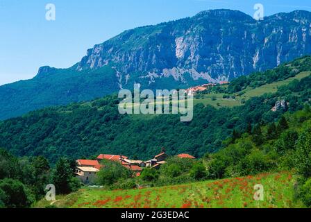 FRANKREICH. DROME (26) TRESCHENU-CREYERS PARC-NATUREL-REGIONAL-DU-VERCORS LANDSCHAFT MOHN-FELD DÖRFER BENEVISE, NONNIERES Stockfoto