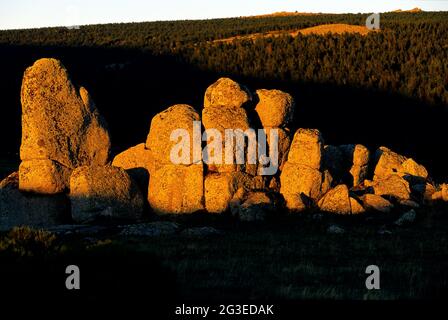 FRANKREICH. LOZERE (48) LE-PONT-DE-MONTVERT DAS GRANITÄRE CHAOS DES NATIONALPARKS CEVENNEN AUF DEM BERG LOZERE Stockfoto