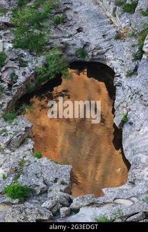 FRANKREICH. ARDECHE (07) SAINT REMEZE RESERVE NATÜRLICHEN HALS IN DER ARDECHE REFLEXION AUF DEM FLUSS ARDECHE Stockfoto