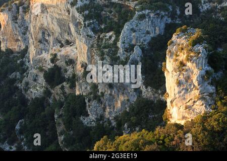 FRANKREICH. ARDECHE (07) SAINT REMEZE RESERVE NATÜRLICHEN HALS IN DER ARDECHE LANDSCHAFT AUTRIDGE L'AIGUILLE DE MORSANNE DER FELS VON MORSANNE Stockfoto