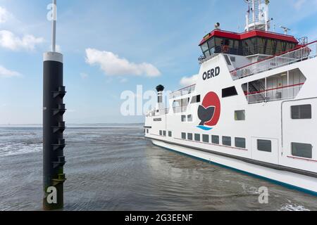 Die MS Oerd ist eine Fähre und fährt seit 2003 auf der Ameland-Holwerd-Route. Das Schiff wird von Wagenborg Passenger Services genutzt. Stockfoto