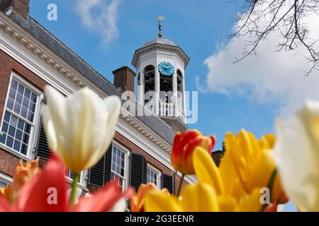 Blick auf den Glockenturm und die Uhr des Rathauses aus dem 17. Jahrhundert in Dokkum in den Niederlanden im Frühling. Bunte Tulpen im Vordergrund. Stockfoto