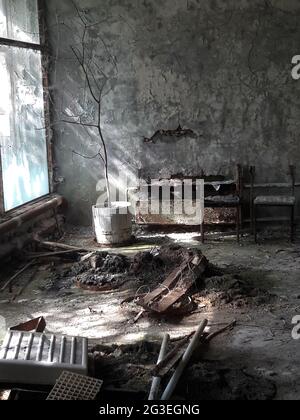 Verlassene Zimmer in einem zerstörten Gebäude mit rostigen Gegenständen und einem toten Baum in der Nähe des Fensters Stockfoto