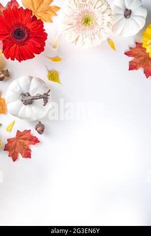 Herbstthema Konzept. Flache Lay-Komposition mit bunten Blüten, rot-gelben Blättern, weißen Kürbissen auf weißem Hintergrund. Heller Fall, danke da Stockfoto