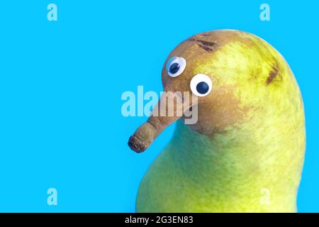 Lustige Birne Charakter macht Welpen Augen isoliert auf blau Stockfoto