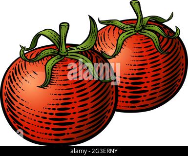 Tomaten Gemüse Vintage Holzschnitt Illustration Stock Vektor