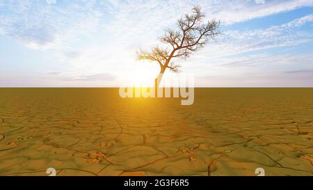 Konzept oder konzeptuelle Wüstenlandschaft mit einem ausgetrocknten Baum als Metapher für globale Erwärmung und Klimawandel. Stockfoto