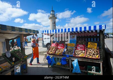 FRANKREICH. ILE ET VILAINE (35) CANCALE COTE D'EMERAUDE OYSTER SELLING (DAS BILD IST IN FRANKREICH FÜR KALENDER ODER POSTKARTEN NICHT VERFÜGBAR) Stockfoto