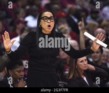 Kolumbien, USA. Februar 2020, 10th. South Carolina Cheftrainer Dawn Staley während eines Spiels Aganist Connecticut in Colonial Life Arena in Columbia, South Carolina, am 10. Februar 2020. (Foto: Brad Horrigan/Hartford Courant/TNS/Sipa USA) Quelle: SIPA USA/Alamy Live News Stockfoto