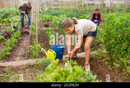 Positive Mädchen mit Chopper entfernt Unkraut aus Gartenbeeten Stockfoto