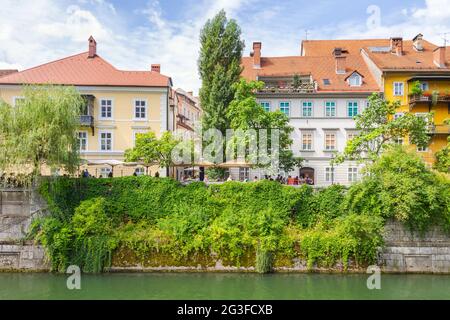 Ljubljana, Slowenien - 15. August 2018: Alte Gebäude und grüne Vegetation am Flussufer der Ljubljanica im historischen Zentrum der Stadt Stockfoto