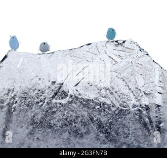 Lustige kleine Pinguine aus einem Stück Seeglass, mit skizzenhaft gezeichneten Beinen und Schnabel, auf einem Eisberg aus Eisstück isoliert auf weißem Hintergrund Stockfoto
