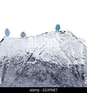 Lustige kleine Pinguine aus einem Stück Seeglass, mit skizzenhaft gezeichneten Beinen und Schnabel, auf einem Eisberg aus Eisstück isoliert auf weißem Hintergrund Stockfoto