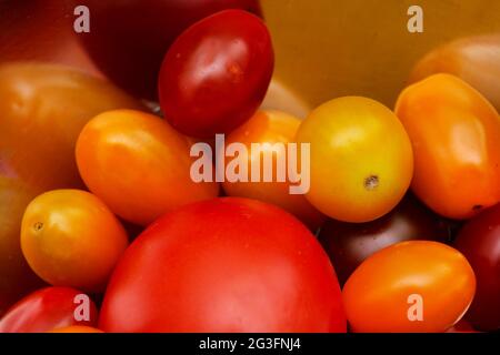 Verschiedene Farben und Größen von Tomaten in einer Metallschale Stockfoto