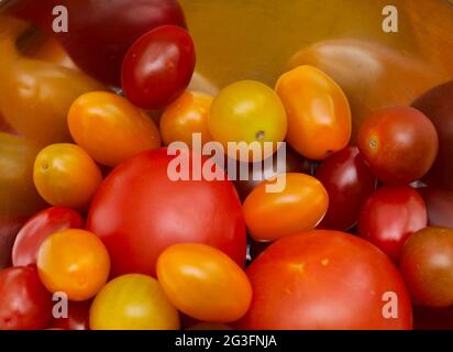 Verschiedene Farben und Größen von Tomaten in einer Metallschale Stockfoto