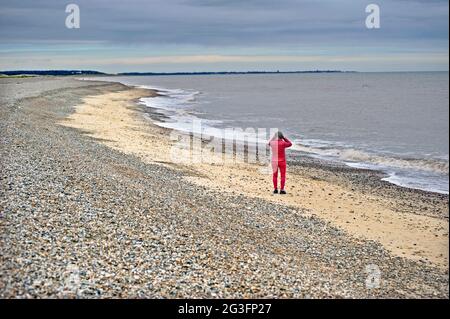 Frau in Rot am strand von sizewell mit Blick auf das Meer in Richtung southwold mit dem Fernglas suffolk england Stockfoto